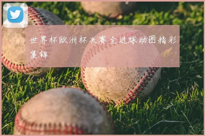 世界杯欧洲杯决赛全进球动图精彩集锦