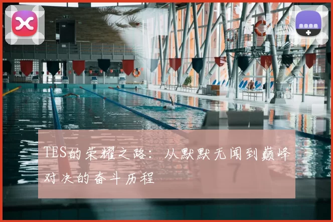 TES的荣耀之路：从默默无闻到巅峰对决的奋斗历程