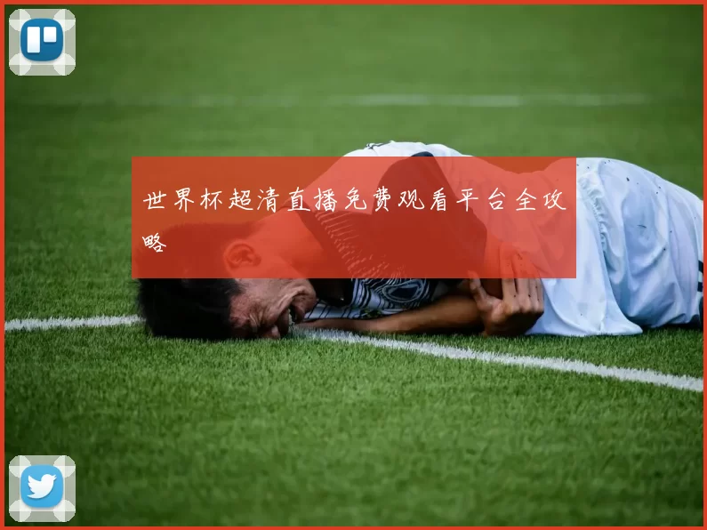 世界杯超清直播免费观看平台全攻略