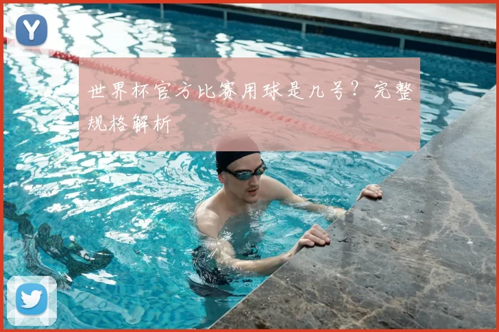 世界杯官方比赛用球是几号？完整规格解析