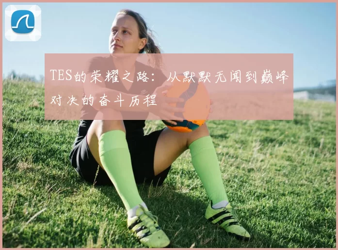 TES的荣耀之路:从默默无闻到巅峰对决的奋斗历程