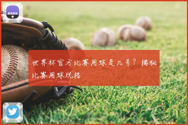 世界杯官方比赛用球是几号？揭秘比赛用球规格