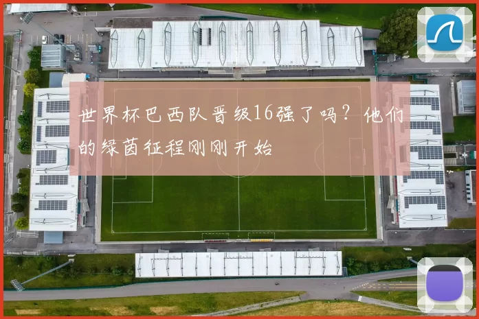 世界杯巴西队晋级16强了吗？他们的绿茵征程刚刚开始
