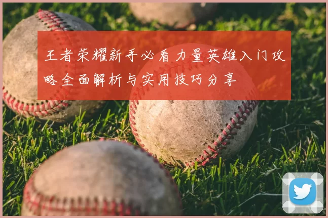 王者荣耀新手必看力量英雄入门攻略全面解析与实用技巧分享