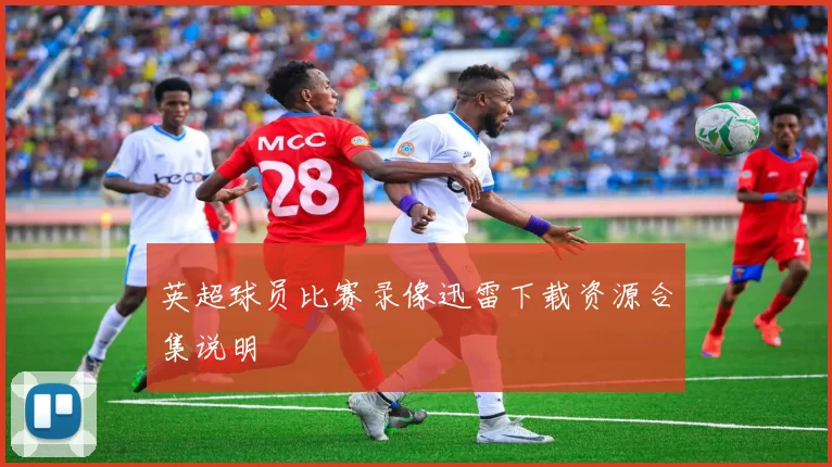 英超球员比赛录像迅雷下载资源合集说明