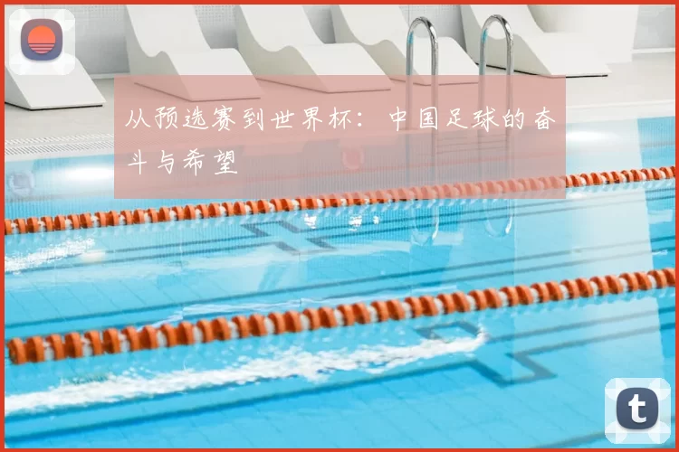 从预选赛到世界杯：中国足球的奋斗与希望