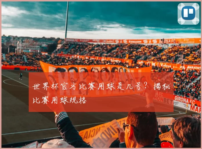 世界杯官方比赛用球是几号？揭秘比赛用球规格