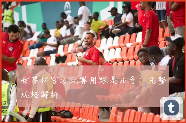 世界杯官方比赛用球是几号？完整规格解析
