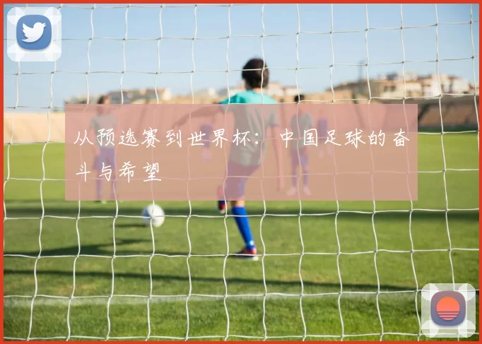 从预选赛到世界杯：中国足球的奋斗与希望